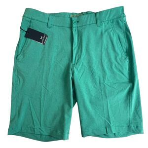 Maelreg Mens Stripe Sea Green Polyester 10" Inseam Stretch Performance Shorts 34